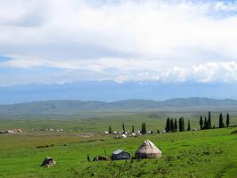 Naraty Grassland